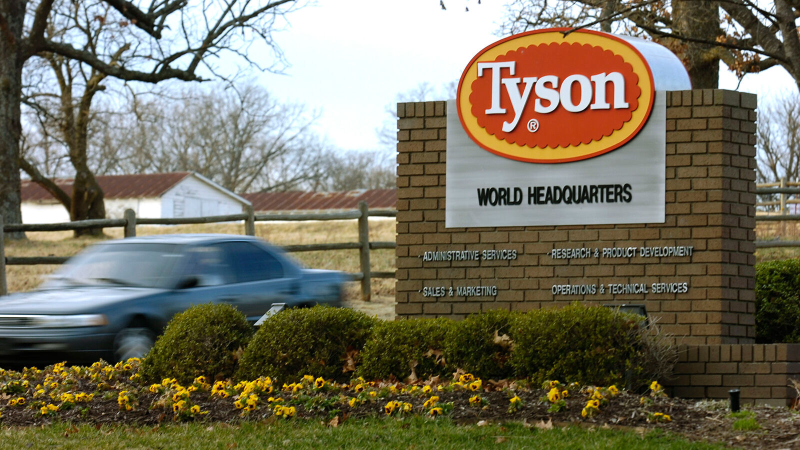 Tyson chicken shortage